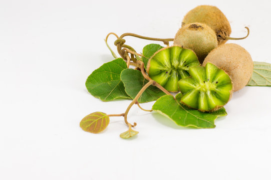 Freshly picked kiwi with branch and leaves