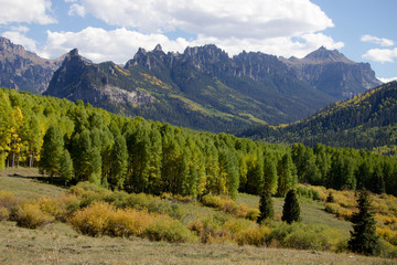 Colorado mountain ridge with pine trees and fall foliage