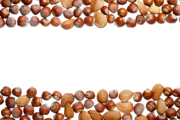 Hazelnuts and almonds
