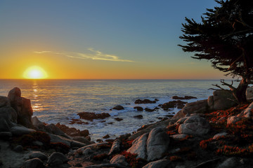 sunset at 17-mile drive, Pebble beach, California