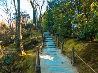 path in an japanese garden