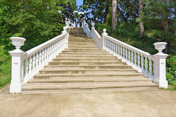 White ladder in the Park