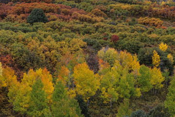 Fall in the Colorado mountains