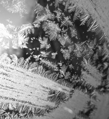 Close up of frozen water on car window monochrome