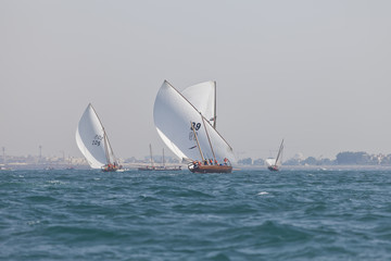 Fototapeta premium ABU DHABI, UAE - JUNE 7, 2014: Traditional sailing dhows race back to Abu Dhabi at Ghanada Dhow Sailing Race 60 ft. Final Round