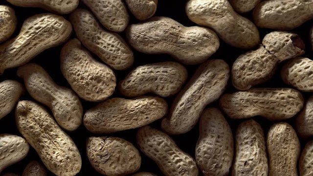 peanuts in the shell