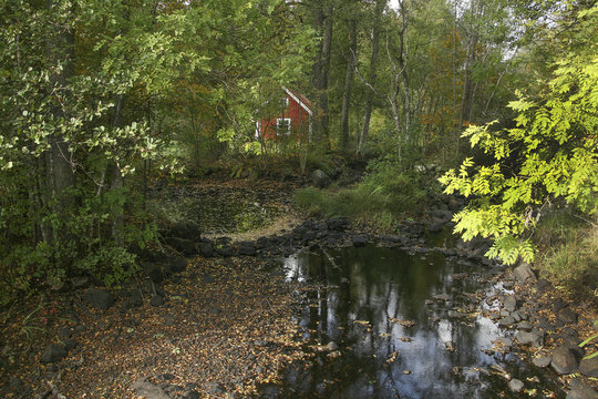 Liten &aring; som &auml;r n&auml;stan uttorkad efter brist av regn p&aring; hela sommaren 1/10 2016