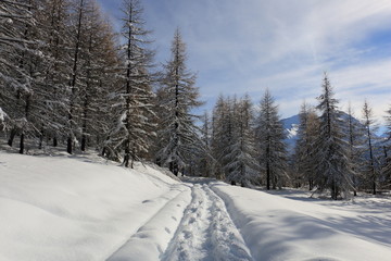 Fototapeta na wymiar Paesaggio di montagna innevato Sestriere Alpi