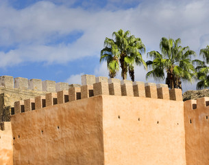  Old medina in Meknes, Morocco, Africa