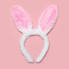 Sweet fluffy rabbit ears isolated on a colorful pink background,