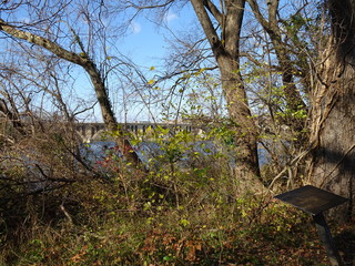 bridge on the Potomac river in fall