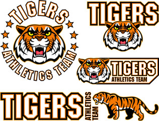 vector angry tiger face sport emblem