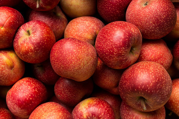 Apples
