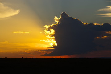 Sunset in Maasai Mara, Kenya