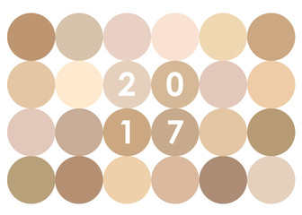 2017 (Célébration Nouvel An) - Couleurs Champagne - Flat Design
