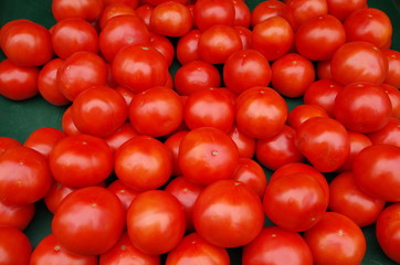 Bright red tomatoes on green background display