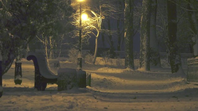 Bench standing under a street lamp in the winter night park