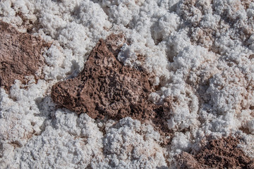 Hidden lagoons of Baltinache, Atacama Desert, Chile