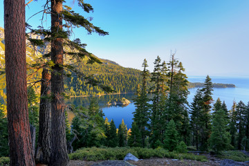 Pine forest surrounding Emerald Bay at Lake Tahoe, California, U