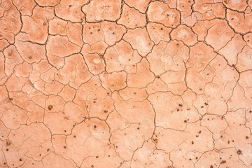 Cracked soil texture background