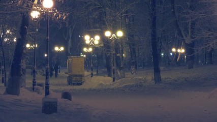 Night winter park with snow covered trees and alleys