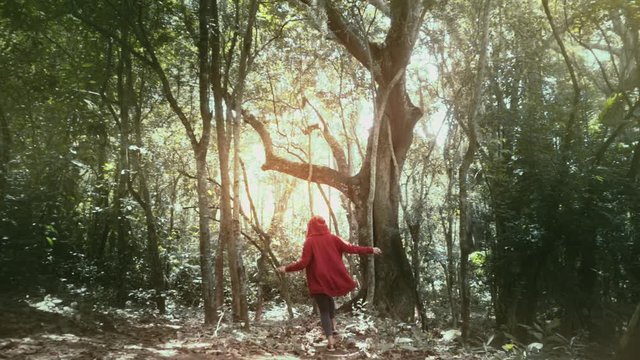 Woman runs  through the magical forest at dawn, Wooden forest of Colombia