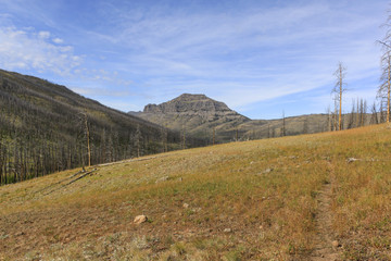 Republic Peak in the distance from the Cache Creek trail, Yellow