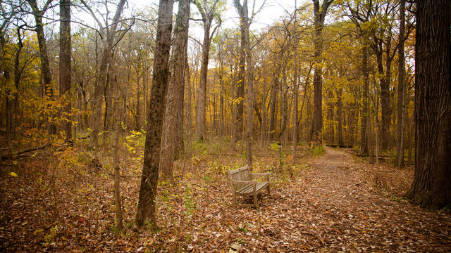 Fall Pictures in Midwest