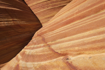 Fototapeta na wymiar Detail of The Wave, Paria Canyon-Vermillion Cliffs Wilderness, A