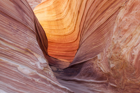 Detail of The Wave, Paria Canyon-Vermillion Cliffs Wilderness, A