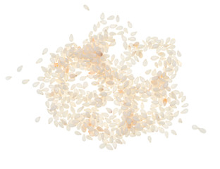 sesame seeds on a white background