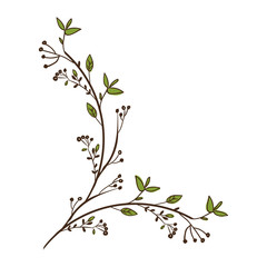 Obraz na płótnie Canvas Leaves icon. Plant floral garden decoration and ornament theme. Isolated design. Vector illustration