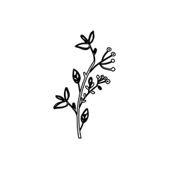 Leaves icon. Plant floral garden decoration and ornament theme. Isolated design. Vector illustration