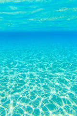 underwater scene with copy space