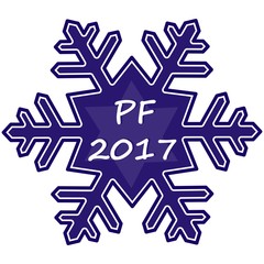 Snowflake, PF 2017,vector icon
