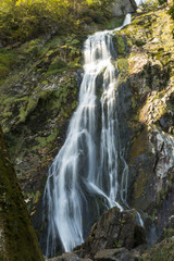 Fototapeta na wymiar Powerscourt Waterfall, Ireland.