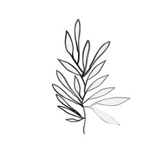 Leaves icon. Plant floral garden decoration and ornament theme. Isolated design. Vector illustration