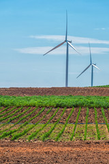 Wind turbines at daylight
