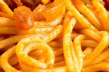 Detailed macro image of cooked spaghetti