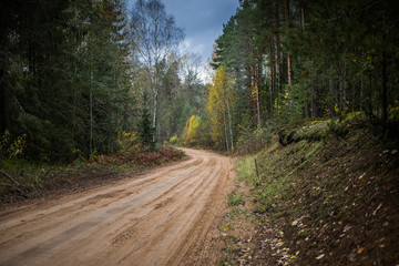 Obraz premium Droga leśna przechodzi przez las jesienią