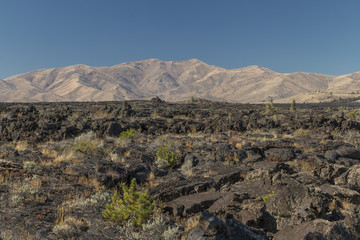 Ancient lava flow in Craters of the Moon National Monument, Idah