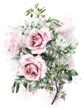 floral illustration in Pastel colors, pink rose. branch of flowers, isolated. green Leaf and buds. Cute composition for wedding or greeting card. bouqet on watercolor background. Splash paint