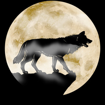 wolf on a background of the moon. Black and white silhouette illustration of a predatory animal