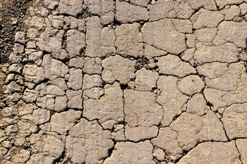 Fragment of cracked soil.