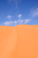 red dunes near Liwa, Emirates 