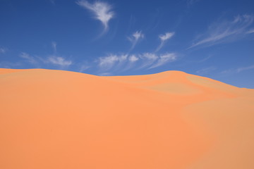 Fototapeta na wymiar red sand dunes in desert with blue sky 
