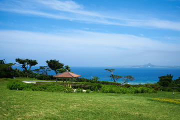 Fototapeta na wymiar sea with grasses in the Ocean Expo Park Okinawa, Japan