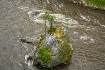 The rock in the middle of a mountain river
