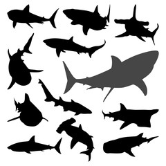 Obraz premium Various Shark Movement Silhouette Collection