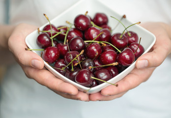 Hands holding ripe cherries. Shallow dof